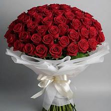 Букет 101 Красная роза Блэк Мэджик в Псыже