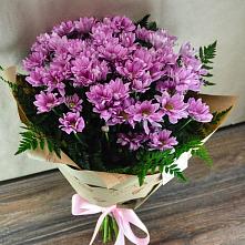 Букет цветов из:  Хризантемы #REPLACE_PRED# Псыже