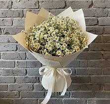 Букет цветов из:  Ромашки в Псыже