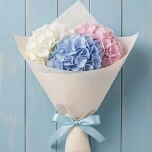 Букет цветов из:  Гортензия #REPLACE_PRED# Псыже