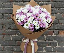 Букет цветов из:  Хризантемы #REPLACE_PRED# Псыже