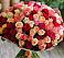 Букет 101 Разноцветная роза в Псыже