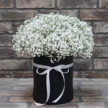 Цветочная композиция из Гипсофила в шляпной коробке #REPLACE_PRED# Псыже