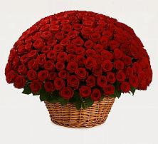 Премиум букет из: Розы в Псыже